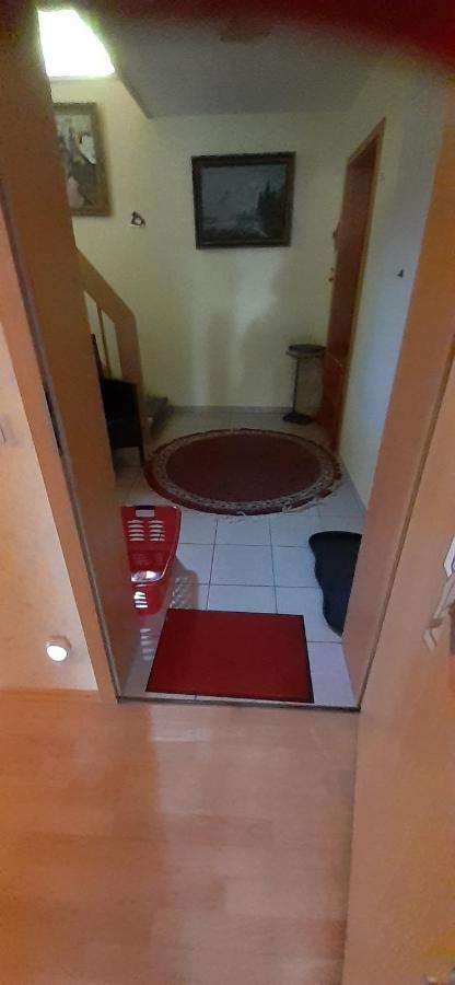 Roetenbacher Wiesen Friedenweiler Dış mekan fotoğraf